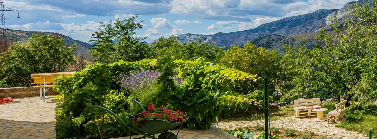 Holiday Home Cherry Tree Zrnovnica Exterior photo